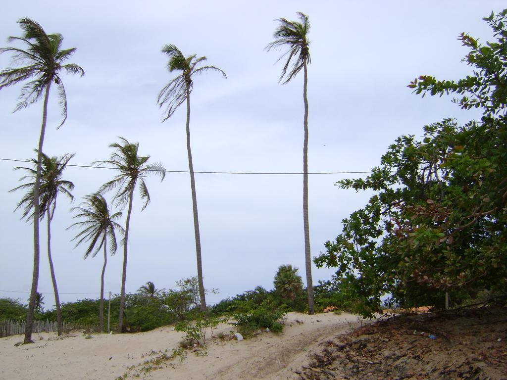 Pousada Paraiso Das Canárias Eksteriør bilde